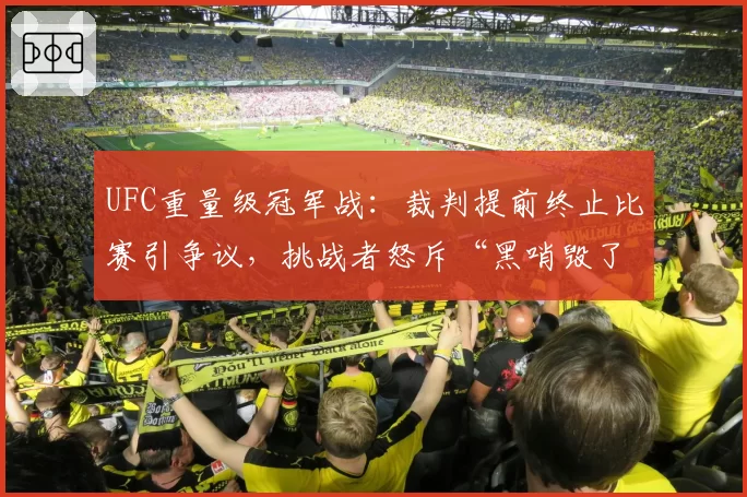 UFC重量级冠军战：裁判提前终止比赛引争议，挑战者怒斥“黑哨毁了我”