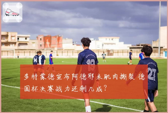 多特蒙德宣布阿德耶米肌肉撕裂 德国杯决赛战力还剩几成?