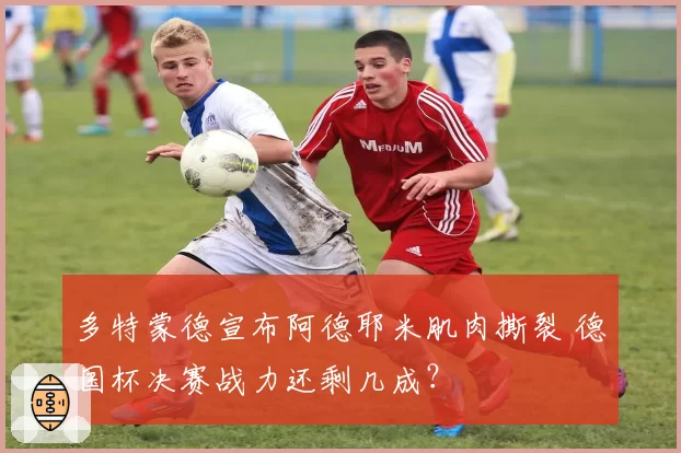 多特蒙德宣布阿德耶米肌肉撕裂 德国杯决赛战力还剩几成?